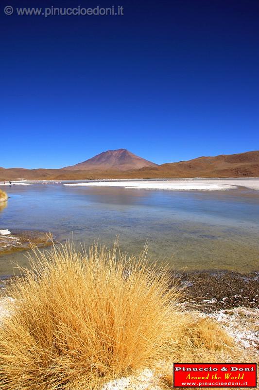 BOLIVIA 2 - Ruta de Las Joyas - Laguna Hedionda - 30.jpg